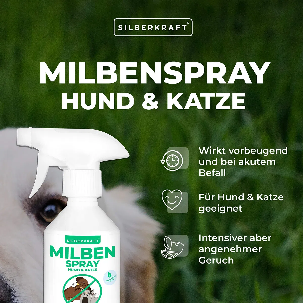 Silberkraft - Spray antiacaro per cani e gatti, 250 ml, affidabile antiacaro per cani, gatti, roditori e altri animali domestici, efficace e utile antiacaro