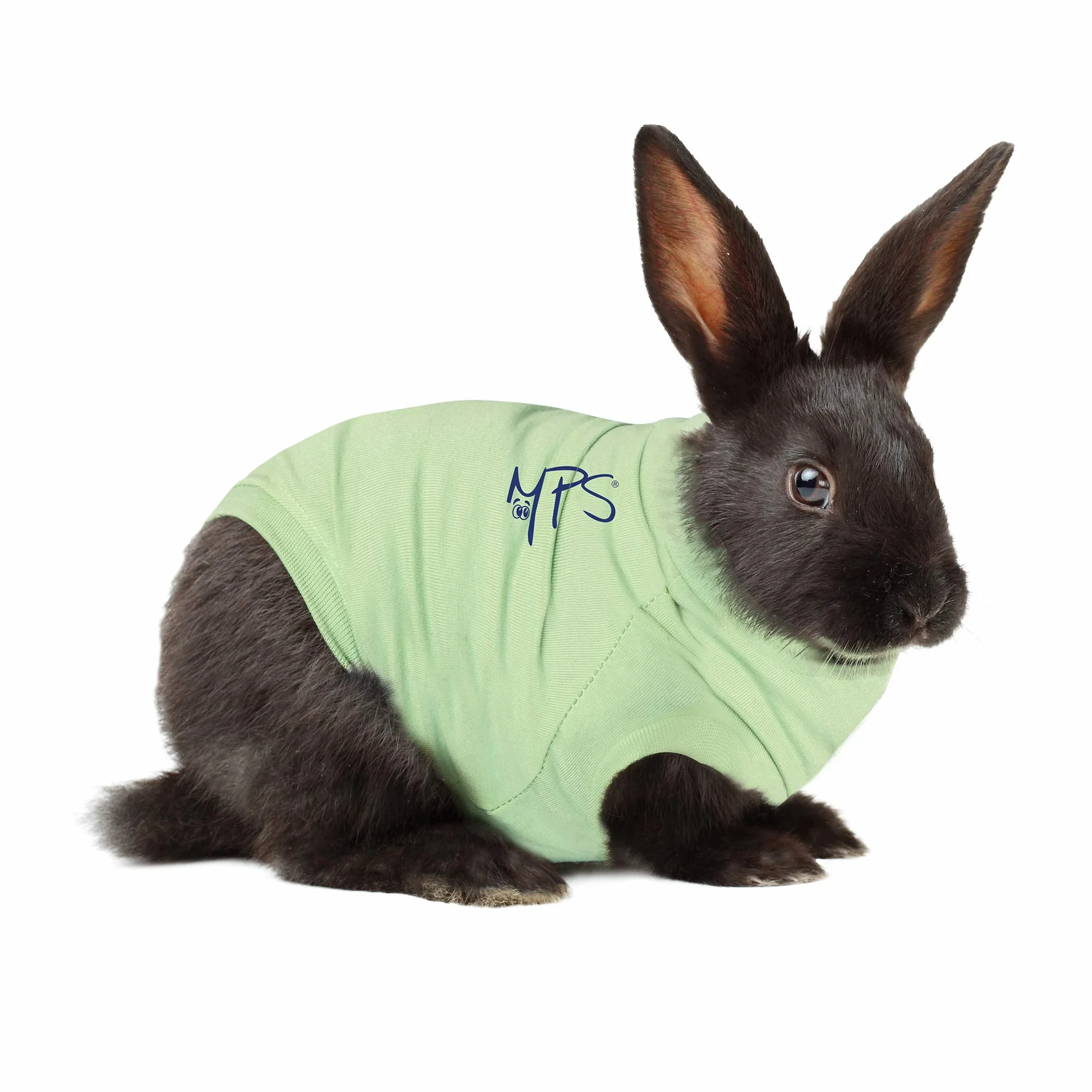 MPS Medical Pet Shirt per Coniglio, Verde, XS