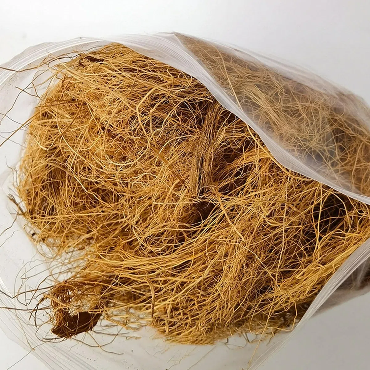 Fibre di cocco biologiche a fibra lunga – 500 g per animali uccelli , tartarughe, ragni – artigianato – decorazione floristica orchidee