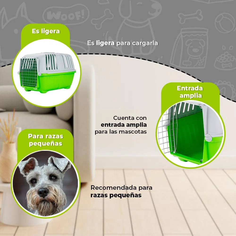 Lazy Bones Pratiko Pet Carrier, Grande, 55 x 36 x 36 cm (Colori Assortiti)