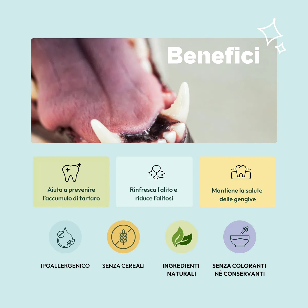 Gooddy – Cura Dentale per Cani in Polvere 180g – Alito Fresco, Riduce Placca e Tartar, Supporta le Gengive – Con Probiotici e Prebiotici