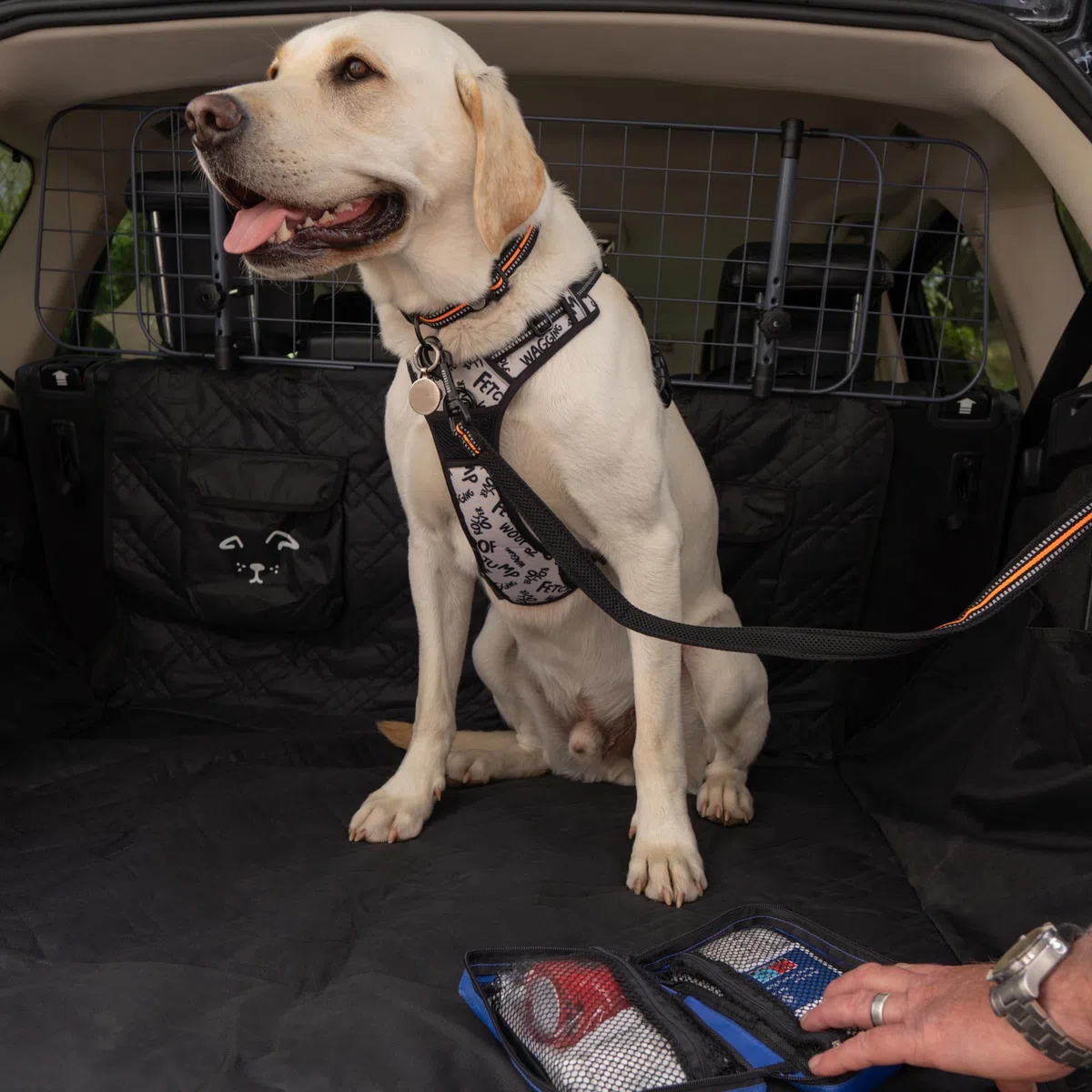 Kit di Pronto Soccorso Battersea Pet