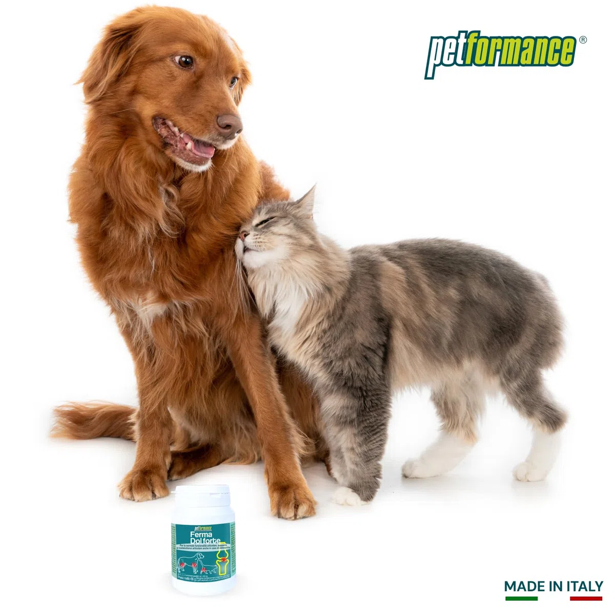 FermaDol Forte - 60 Compresse per le Articolazioni del Cane e del Gatto - con Glucosamina, Condroitina, Artiglio del Diavolo - Contrasta Dolore ed Infiammazione (Pilloliera)