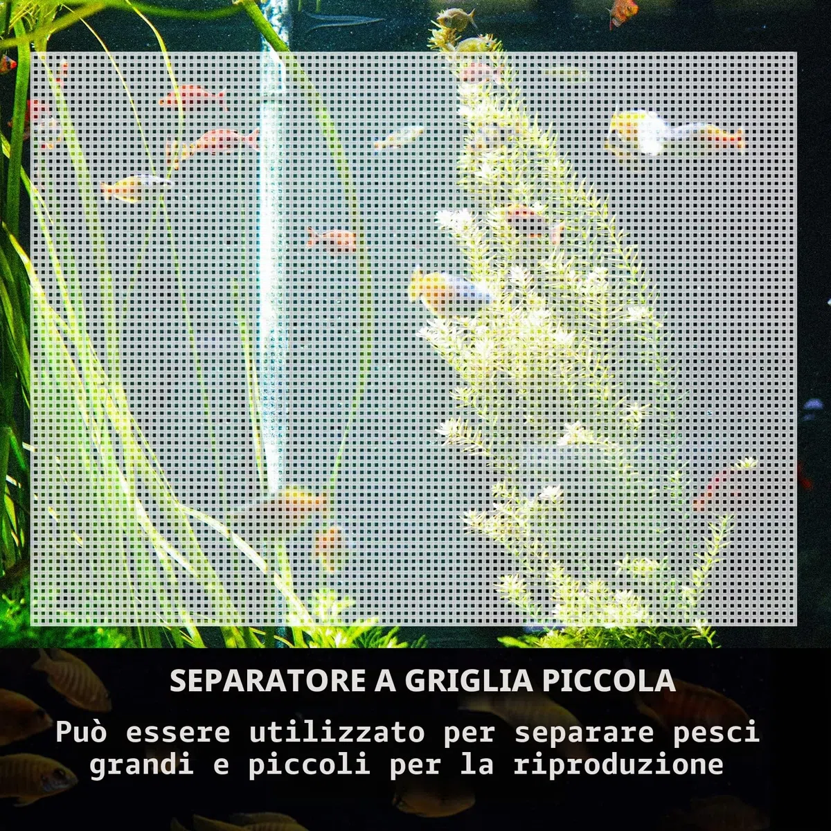 Cuyacili 2 Pezzi Divisori per Acquario Griglia Divisore di Plastica Trasparente con Ventose e Accessori Bianco 33x44 cm