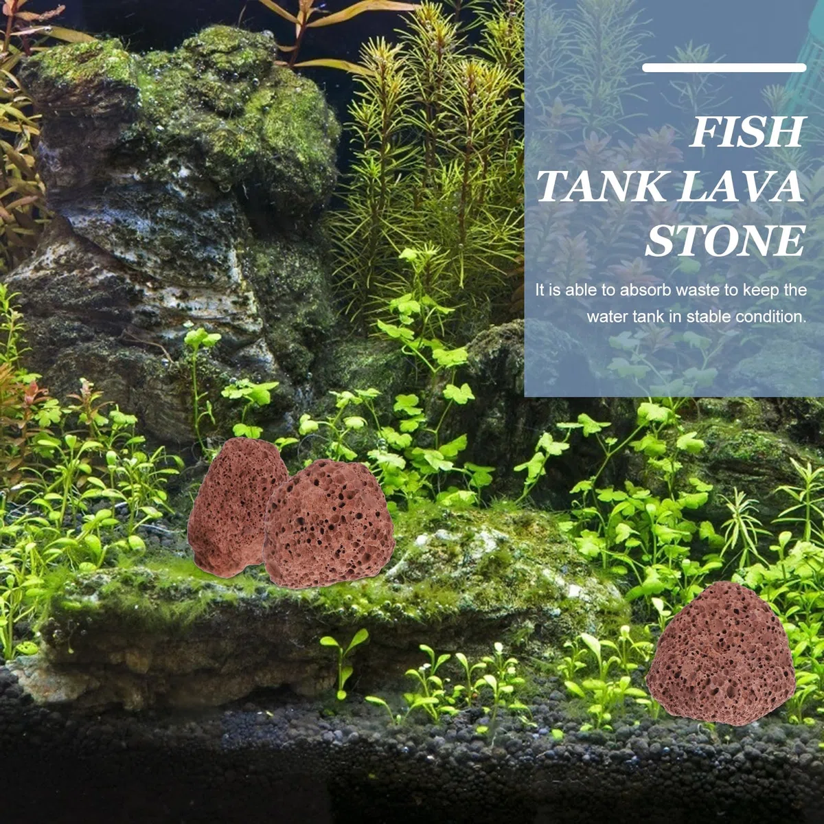 iplusmile Rocce Vulcaniche per Acquario 6X6X6 Cm Materiale Filtrante Naturale per Acqua E Marina Pietre Laviche per Filtro E Decorazione Subacquea per Serbatoio di Pesce