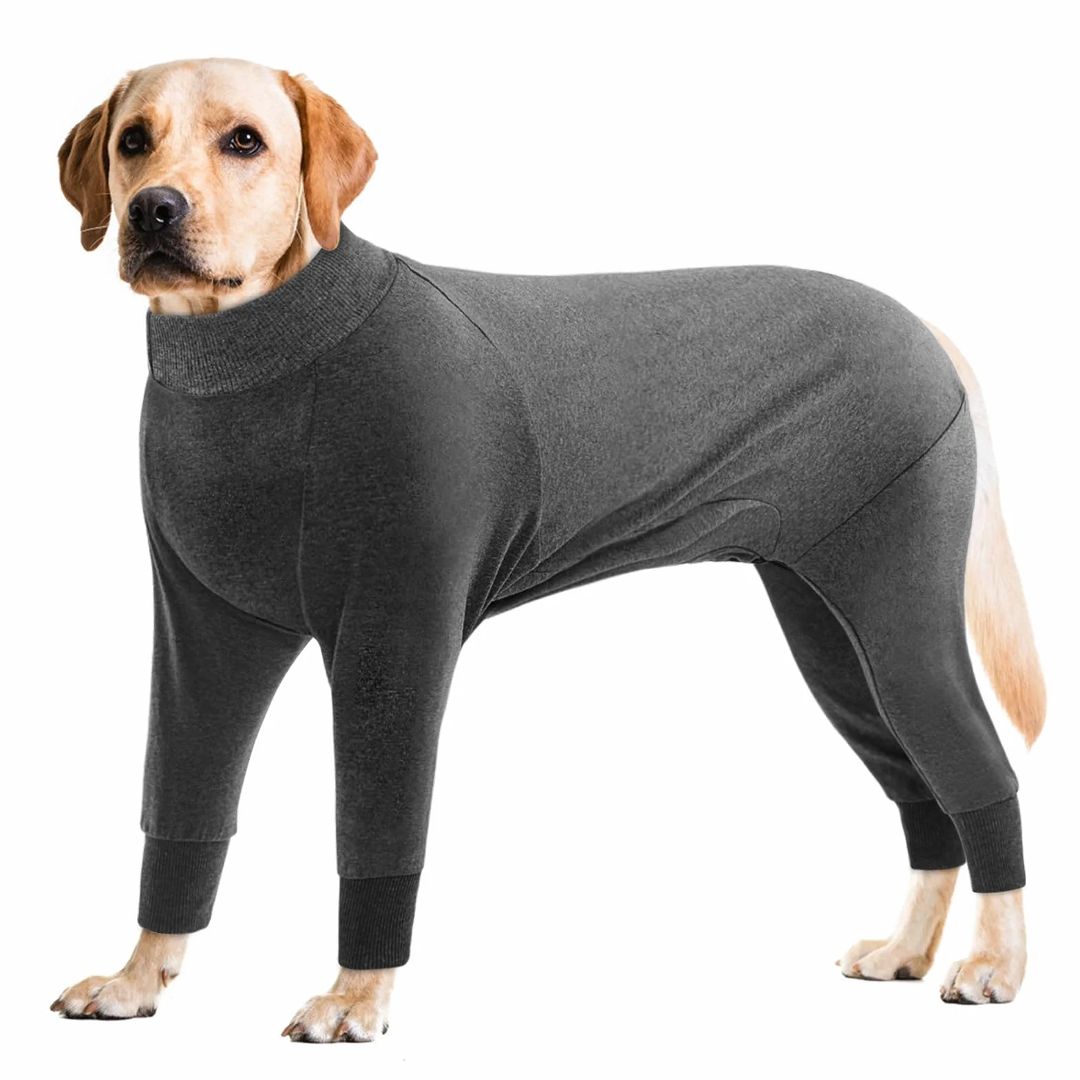 CITÉTOILE Tuta di Recupero per Cani e Gatti di Grossa Taglia, Camicia da Pigiama Protettiva a Maniche Lunghe per Animali Domestici, Alternativa al Collare Elettronico, Grigio, M