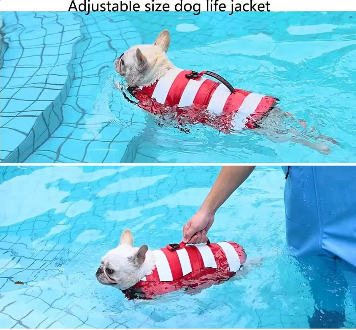 Giubbotto di Salvataggio per Cani Regolabili,Giubbotto di aiuto al Galleggiamento Cani con Manico,Buona Galleggiabilità in Mare,Piscina,Lago (M,Rosso)