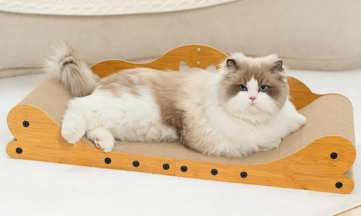 Gimars Tiragraffi per Gatti XXL 78 cm, Tappetino Graffi in Design Divano, Letto per Gatti & Protezione Mobili per Gatti Grandi e Case con più Gatti