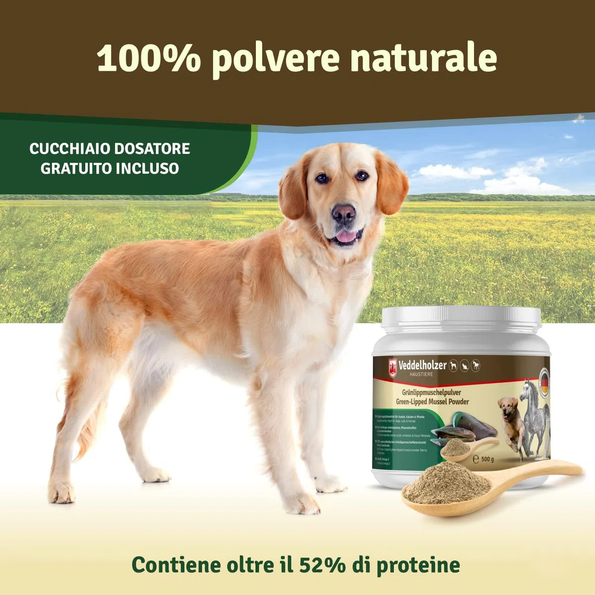 Veddelholzer, polvere naturale – 500g di Estratto di conchiglia verde per cani integratore articolazioni – con elevata accettazione