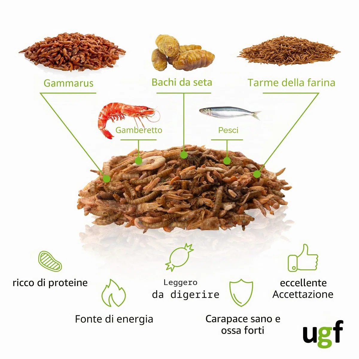 UGF - Mix universale di cibo per tartarughe - 500 g in un secchio da 3 litri, cibo bilanciato per tartarughe, gammarus, bachi da seta, vermi della farina, gamberetti e pesce essiccato
