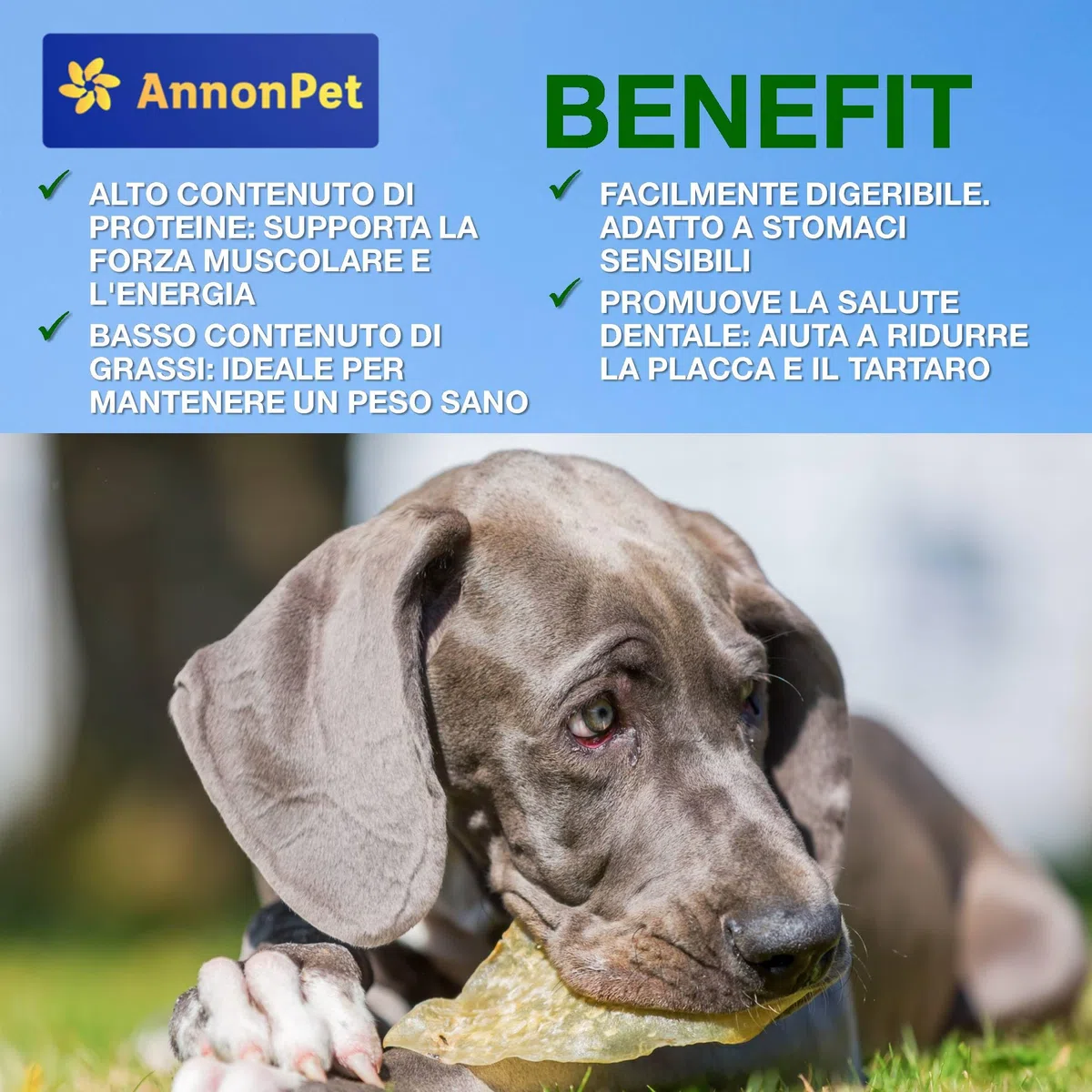 Polmone Essiccato per Cani 500g - Snack Naturale al 100%, Ricco di Proteine, Senza Additivi Ideale per Diete BARF, Premietti Bocconcini e Spuntini Sani Carne Secca di Manzo di Alta Qualità