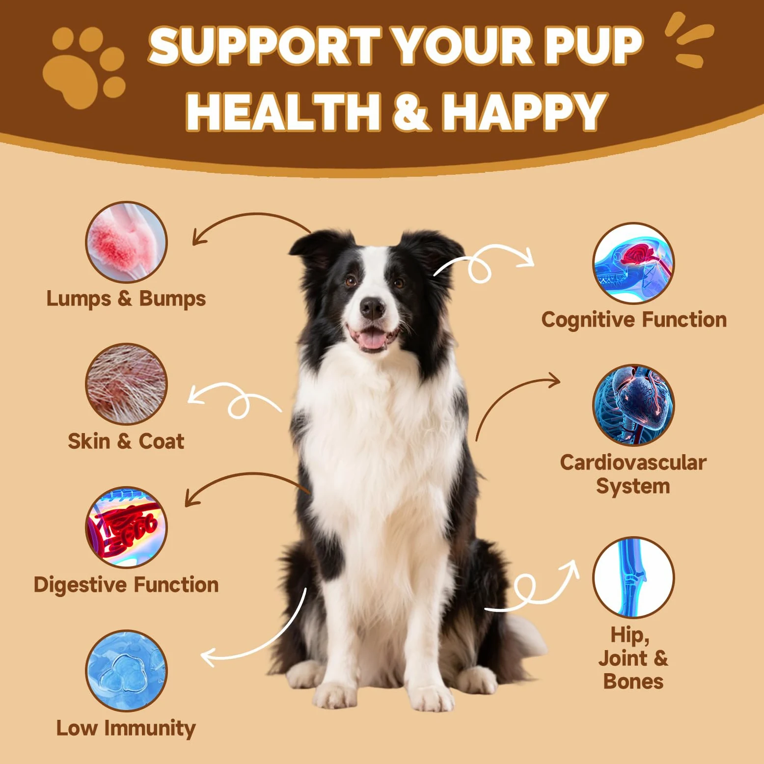 24 in 1 Funghi per Cani – Snack Masticabili ai Funghi con 13 Funghi, Beta-Glucani, Glucosamina, MSM, Vitamine – Supporto per Sistema Immunitario, Articolazioni, Pelle, Digestione – Gusto Pollo