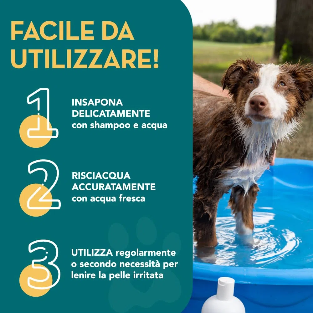 All Natural Shampoo Antipulci | Citronella | 500ml | Il Miglior Trattamento per Cani e Gatti | Formula Sicura ed Efficace | Elimina e Previeni Pulci, Zecche e Pidocchi