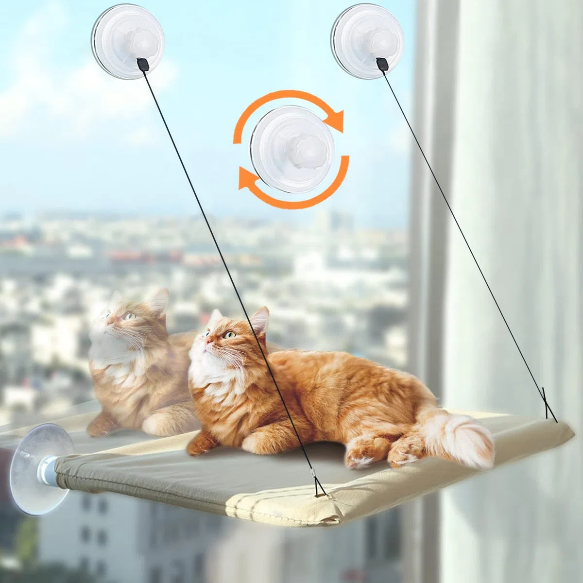CIRULLI Amaca per Gatti da Finestra Interno, per Gatti di Grossa Taglia Fino a 25 kg, Con Robusto Ventose a Manopola, Stabile e Facile da Montare (54x30CM)