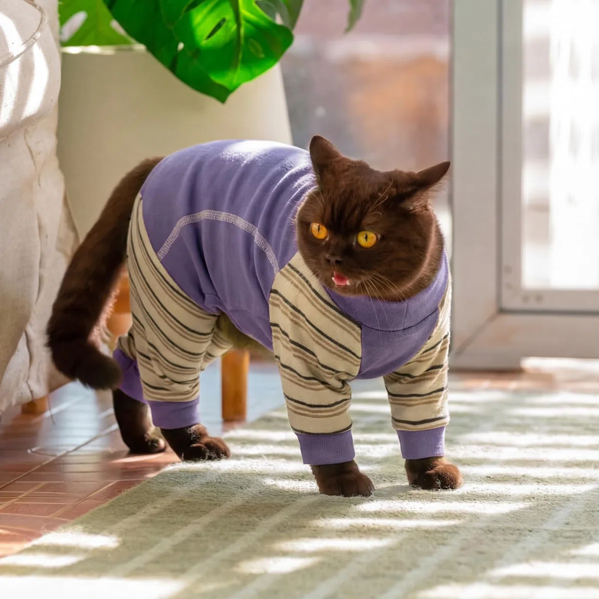 Tuta Post Operatoria Gatto, Morbido Body Gatto Post Operatorio con Manica Lunga Maglioncino per Gatto Coprire i Punti dopo l'operazione(Viola, XL)