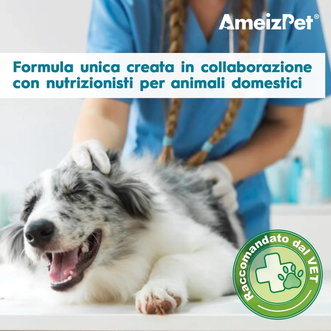 AmeizPet Pastiglie Per Cani Antipulci E Zecche, Antipulci Per Cani, Compresse Masticabili Contro Le Pulci, Cuccioli E Cani Adulti, 30 Dolcetti, 67.5g (2.3 Oz)