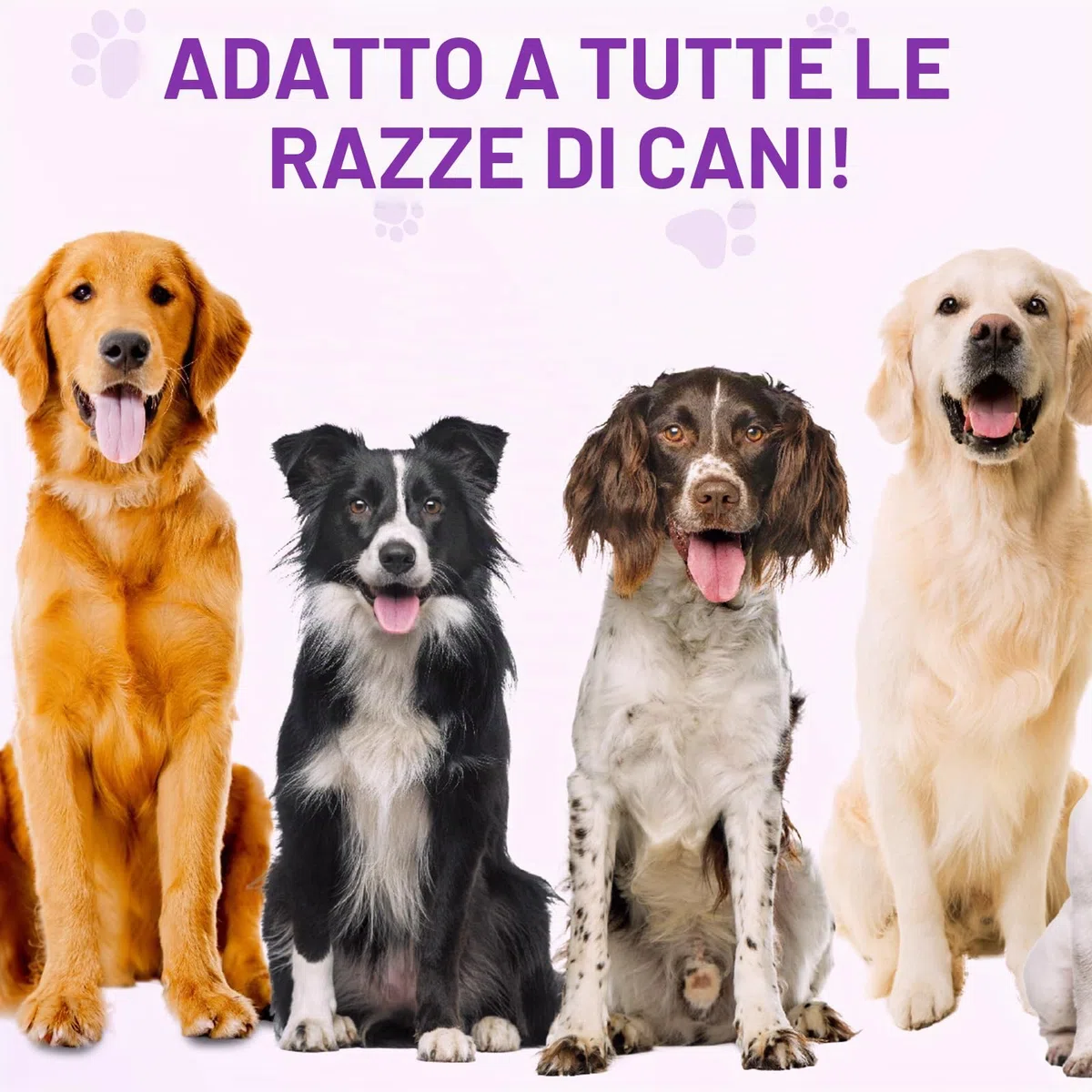 Allergie Relief Dog Treats,150 Pezzi Prurito per la Pelle del Cane Che Mastica, Smetti di Prurito, Leccare, Graffiare, Allergie Stagionali, per Tutte Le Razze e Dimensioni di Cani,Anatra