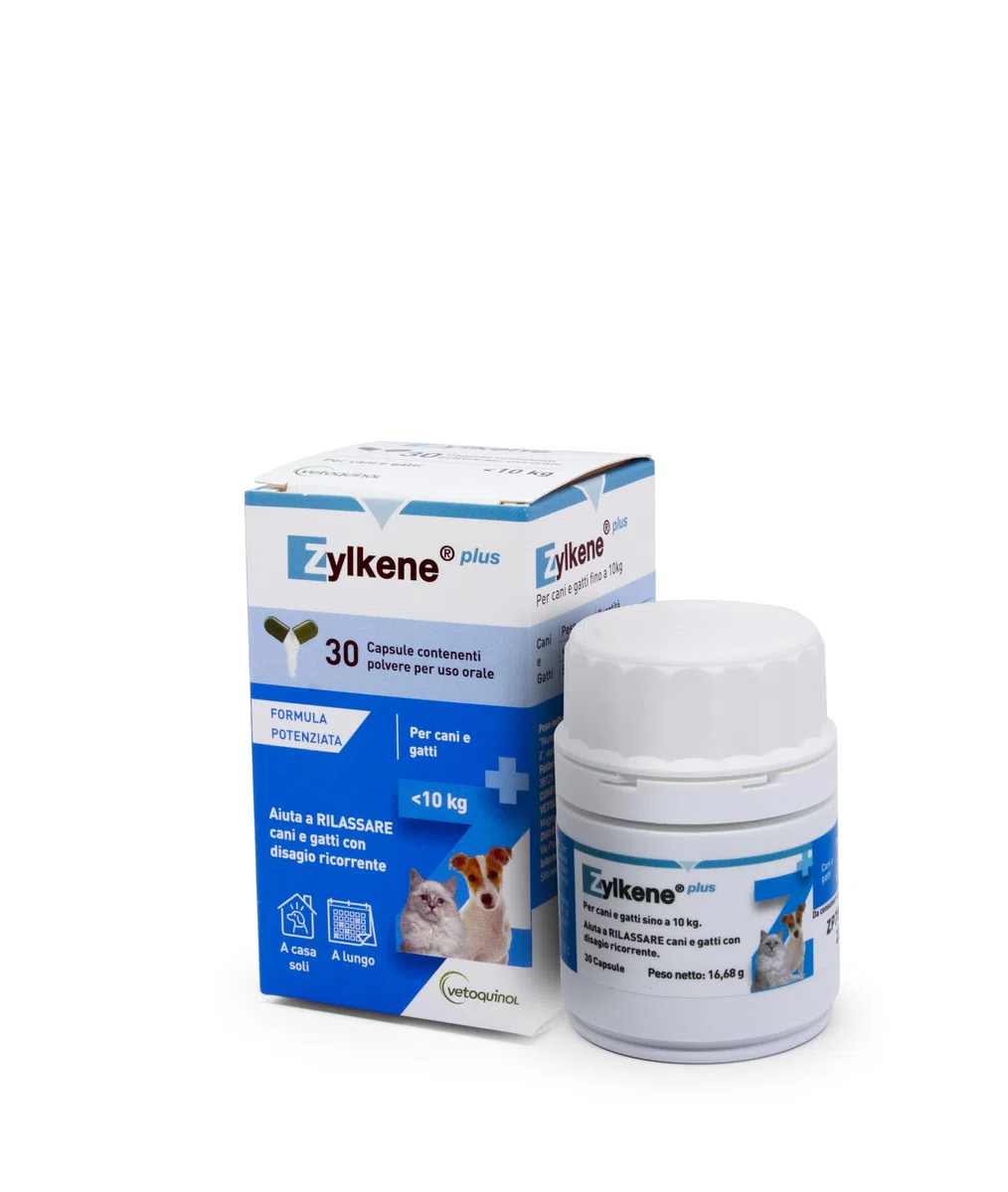 Zylkene Plus Mangime Complementare | Gatti e Cani fino a 10 kg 75 mg | Promuove il rilassamento nelle situazioni di disagio nel lungo termine: Soli a casa, Nuovi animali e neonati | 30 capsule