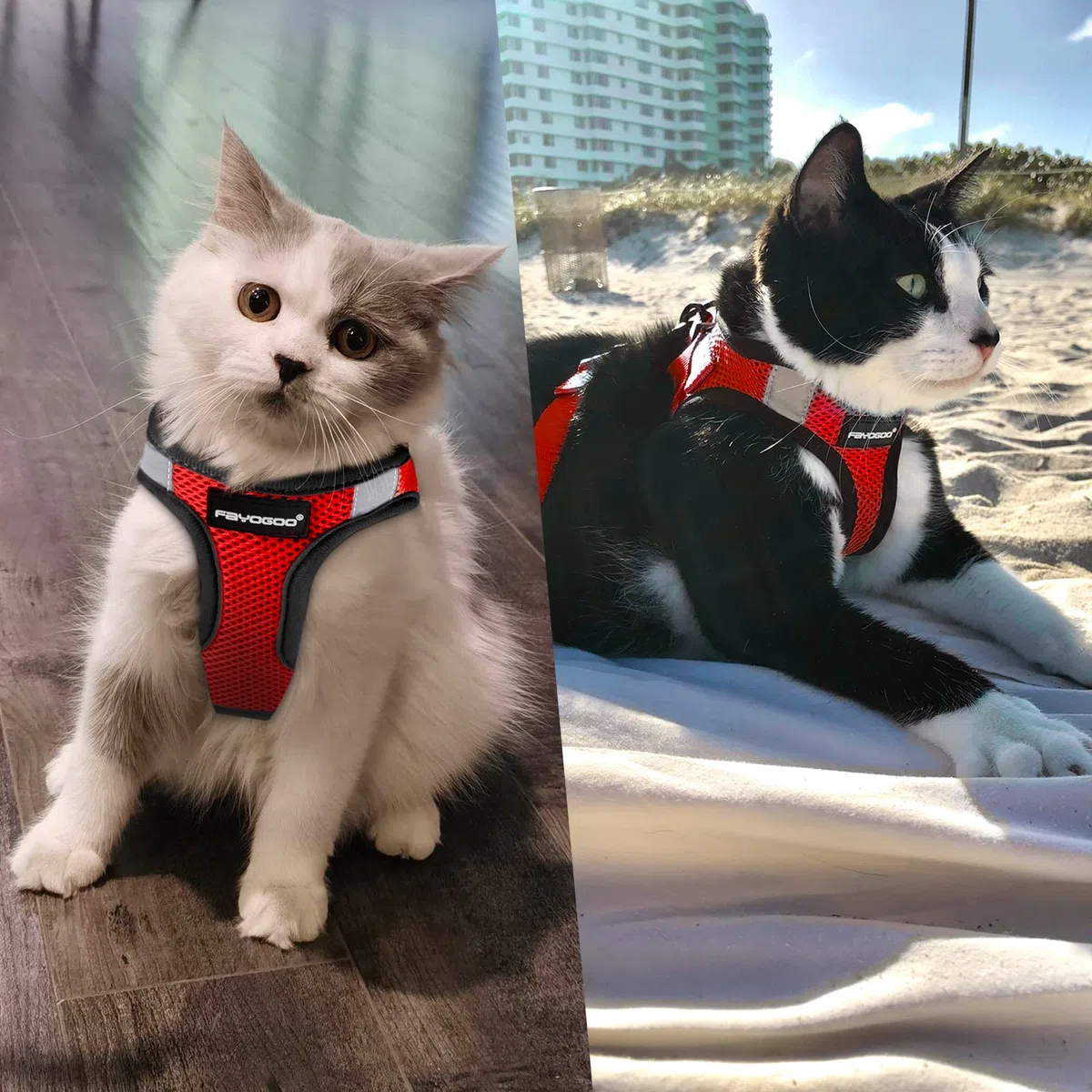 FAYOGOO Pettorina Gatto Grande, Guinzaglio per Gatti Pettorina Gatto Antifuga, Pettorina per Gatti Regolabili con Rivestimento Riflettente Guinzaglio per Cuccioli o Gatti Passeggiate all'aperto