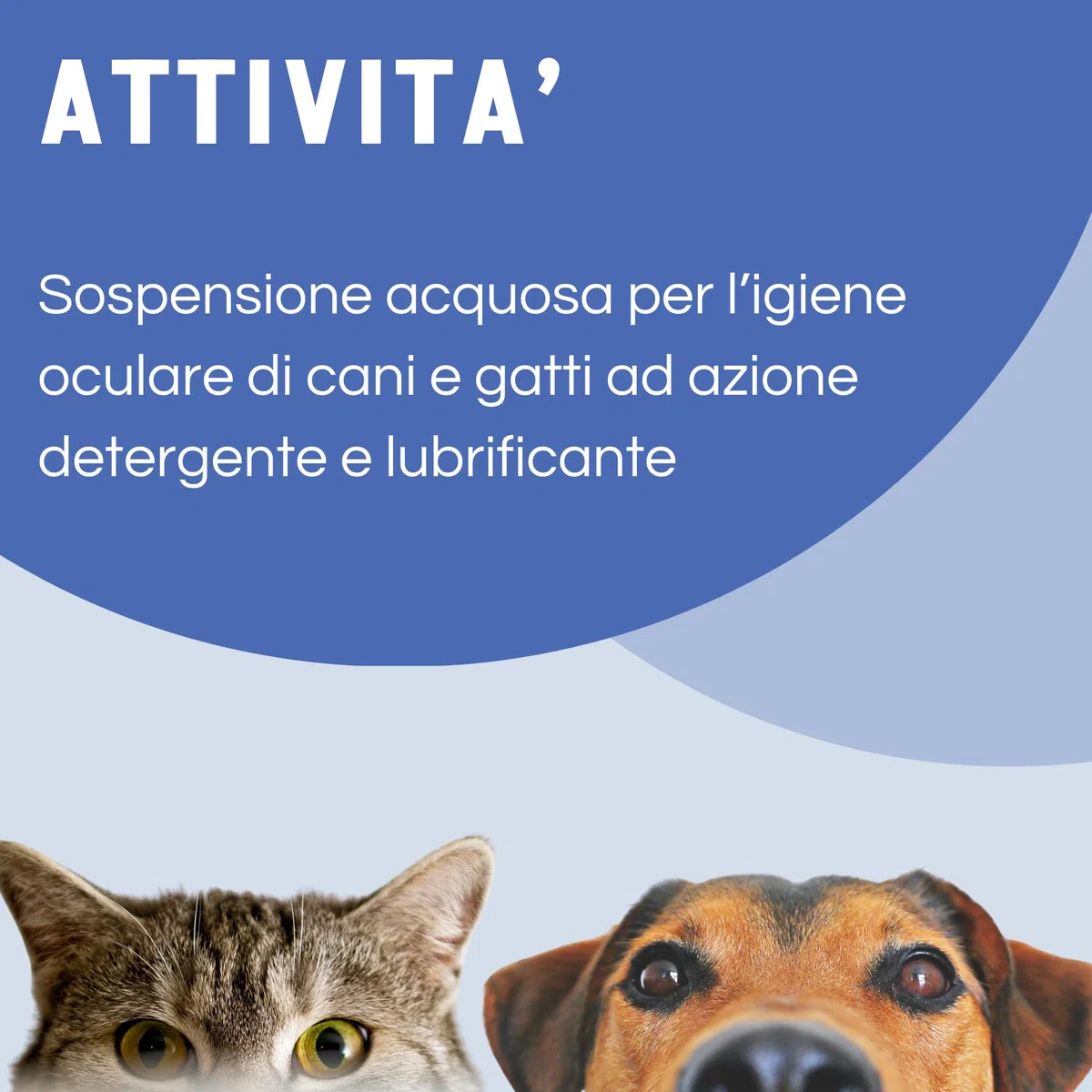 Idrovale - Sospensione Acquosa 25 ml - Igiene Oculare per Cani e Gatti - Detergente e Lubrificante - Protezione Naturale e Facile Applicazione