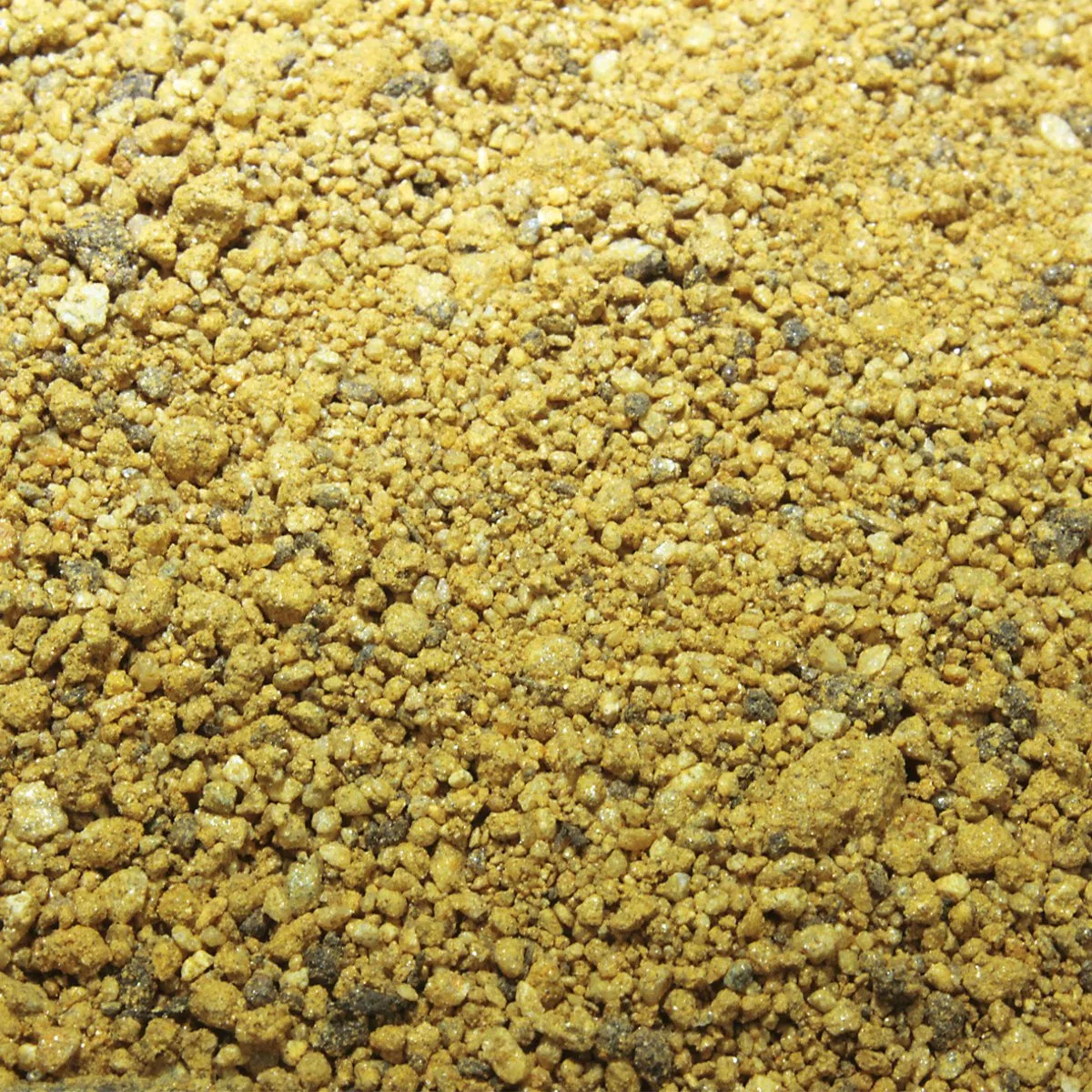 Lucky Reptile Desert Bedding Golden Yellow, 7 Litri, substrato per terrari del Deserto, scavabile