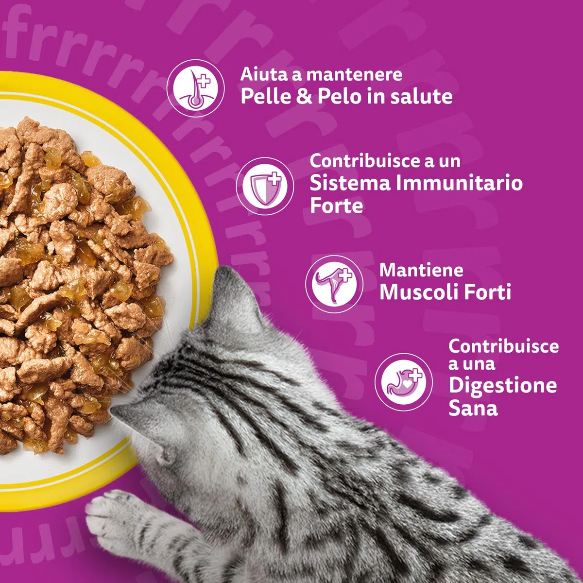 WHISKAS Cibo Umido in Gelatina per Gatti Adulti 120x85g Selezione Delicata