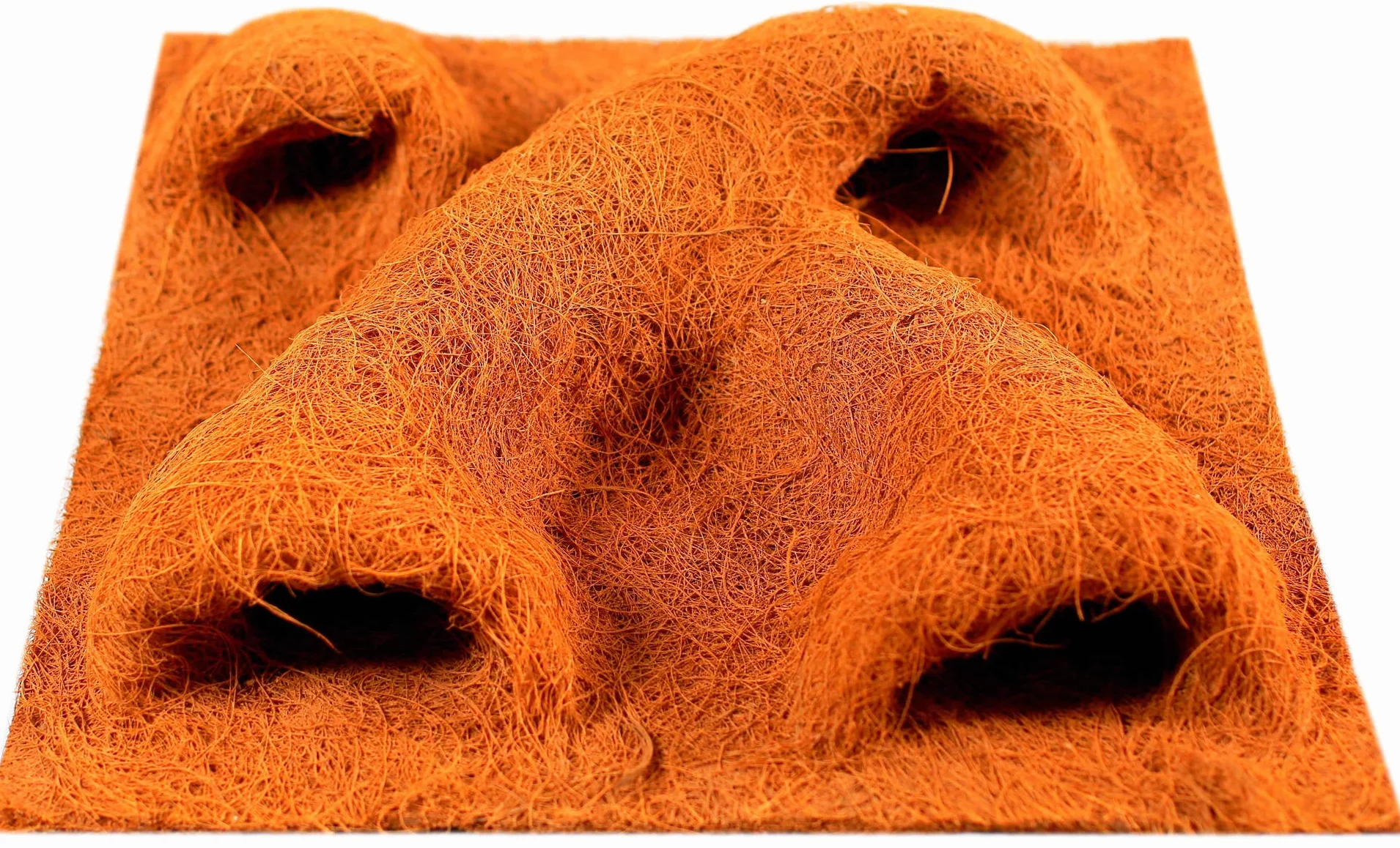 TropicShop - Pannello posteriore in fibra di cocco naturale, con tasca per piante (30 x 30 cm)