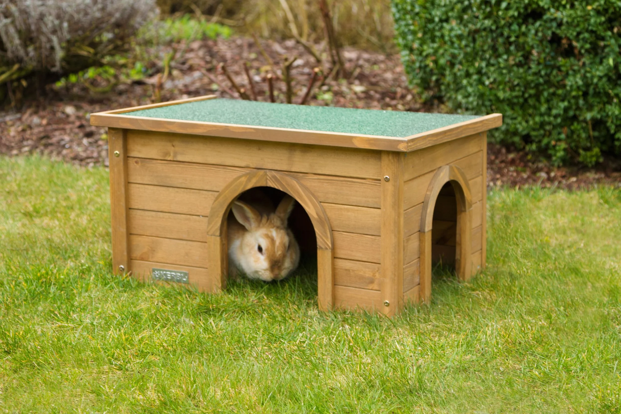 Kerbl Roditore Cabina, XL, 59 x 39 x 30 cm, Legno