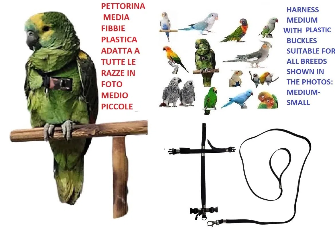 PETTORINA PAPPAGALLI NERA regolabile ATTACCO RAPIDO, MISURA da cocorite ad amazzone elastica nastro 10mm, fibbie plastica o metallo GUINZAGLIO 10mm 1M (nera fibbie plastica)