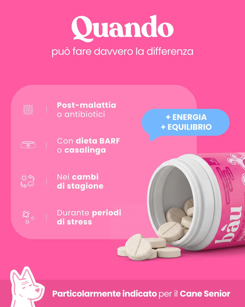 Bau Vitamine Cane per Supporto Immunitario in Compresse, Multivitaminico Difese Immunitarie, Energia e Recupero, Vitamine Cani per Dieta BARF, Post-Convalescenza, Vitamine per Cani Anziani -60cps