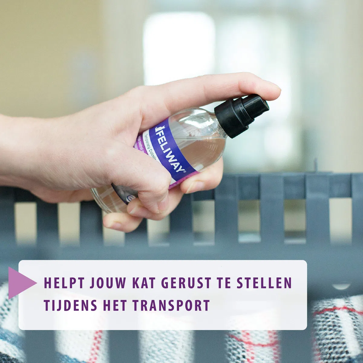 FELIWAY Classic Transport Spray per Gatti | Viaggi e Trasporto Senza Stress | Assicura Un rilassamento Durante l'applicazione mirata Contro Le marcature urinarie e i Graffi | 20 ml