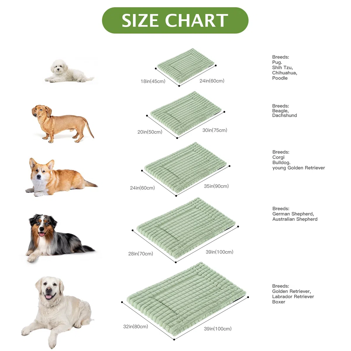 BVAGSS Cuscino per Cani, Ultra Morbido Materassino Lavabile per cani, Base Antiscivolo,Ortopedico Letto per cani Cuscino Cane XH082 (75x50cm,Verde)