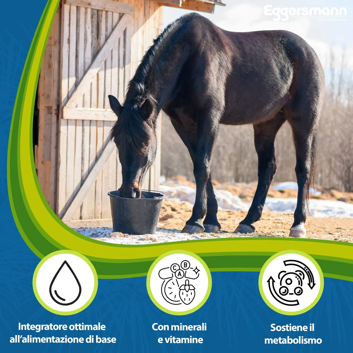 Eggersmann Mein Pferdefutter Horse Vital Plus 4 kg - Mangime Minerale per Cavalli di Tutti i Tipi - Mangime per Cavalli Ricco di vitamine per Una Fornitura ottimale a Tutto Tondo - per completare Il