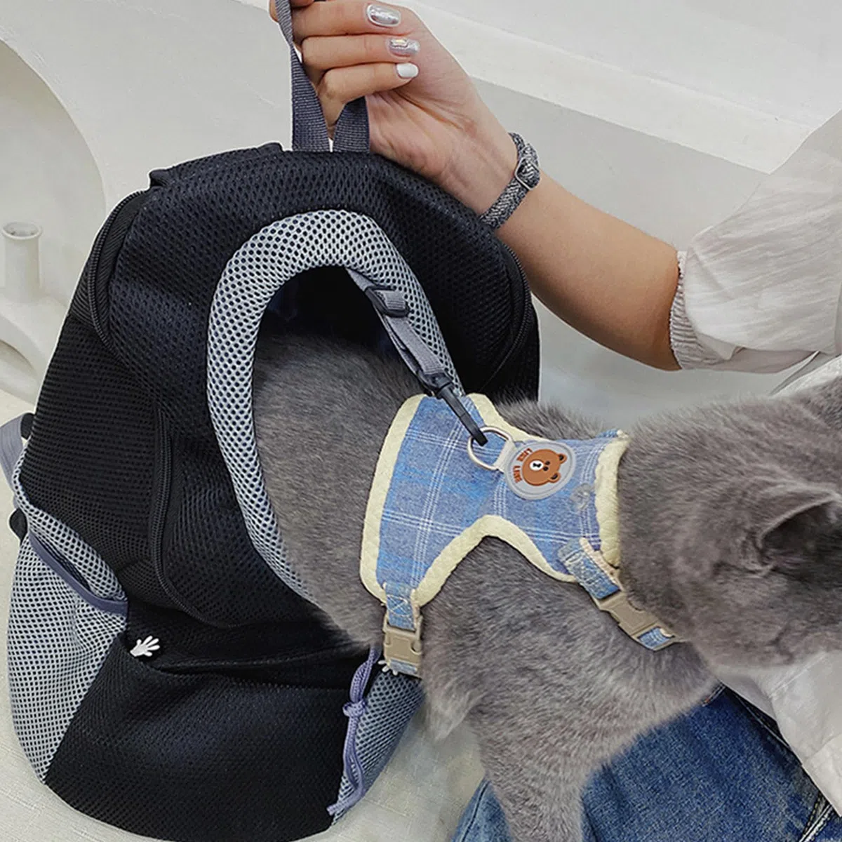 Zaino Traspirante per Cani e Gatti con Finestra, Trasporto Portatile Regolabile (Nero, M)