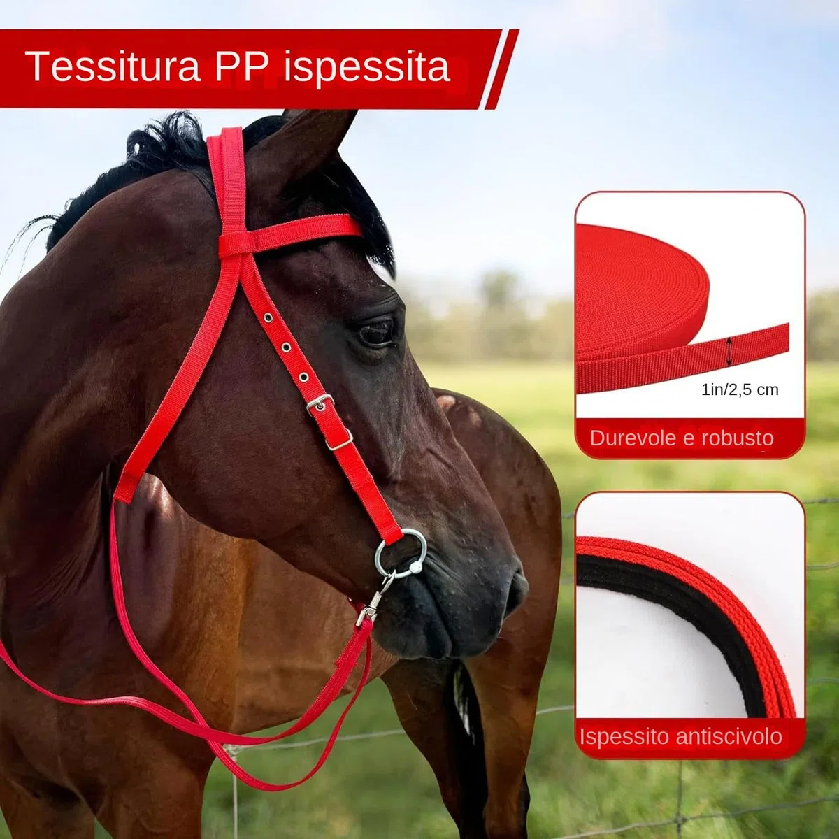 Testiera Briglia Da Addestramento Per - Testiera Regolabile, Set Di Briglie In Corda | Testiera E Redini Per , Briglia Da Equitazione Con Corda Per Equitazione In Scuderia, Accessori Pe
