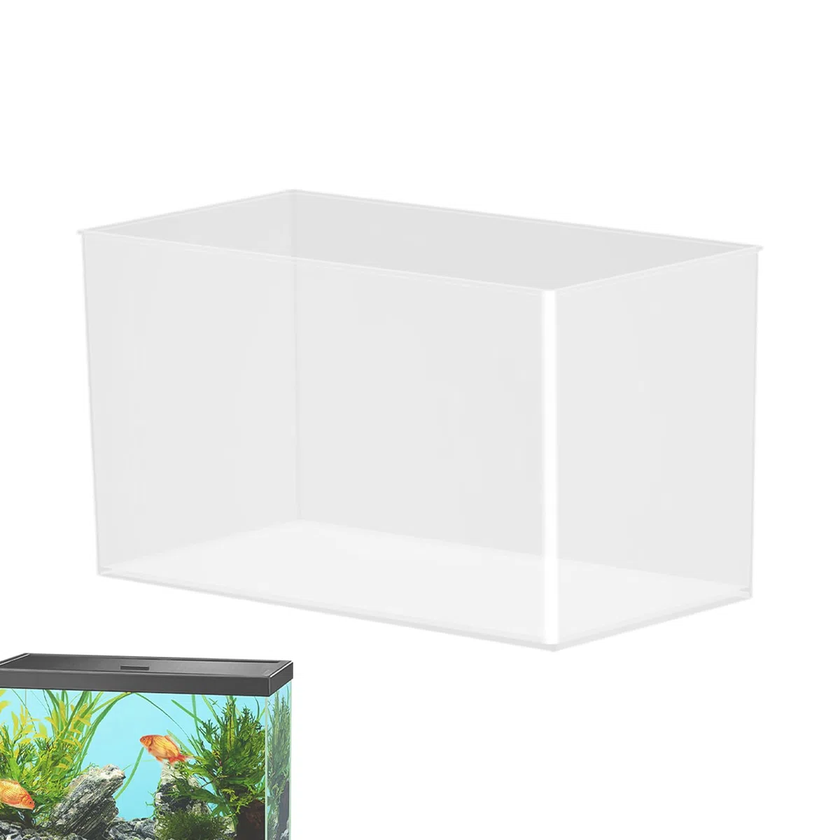Acquario Senza Cornice - Vasca Per Pesci In Vetro Extra Trasparente, Mini Habitat Per Granchi, Terrario Da Tavolo Per Amanti Della Natura, Spazio Temporaneo Per Animali Domestici | Picco