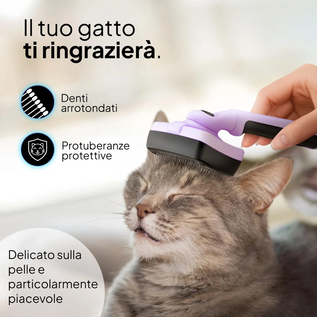Pretty Paw Spazzola per Gatti Set 2 Pezzi con Cardatore Autopulente e Pettine Sottopelo - Rimozione Pelo Morto per Muta e Cura Quotidiana (Viola)