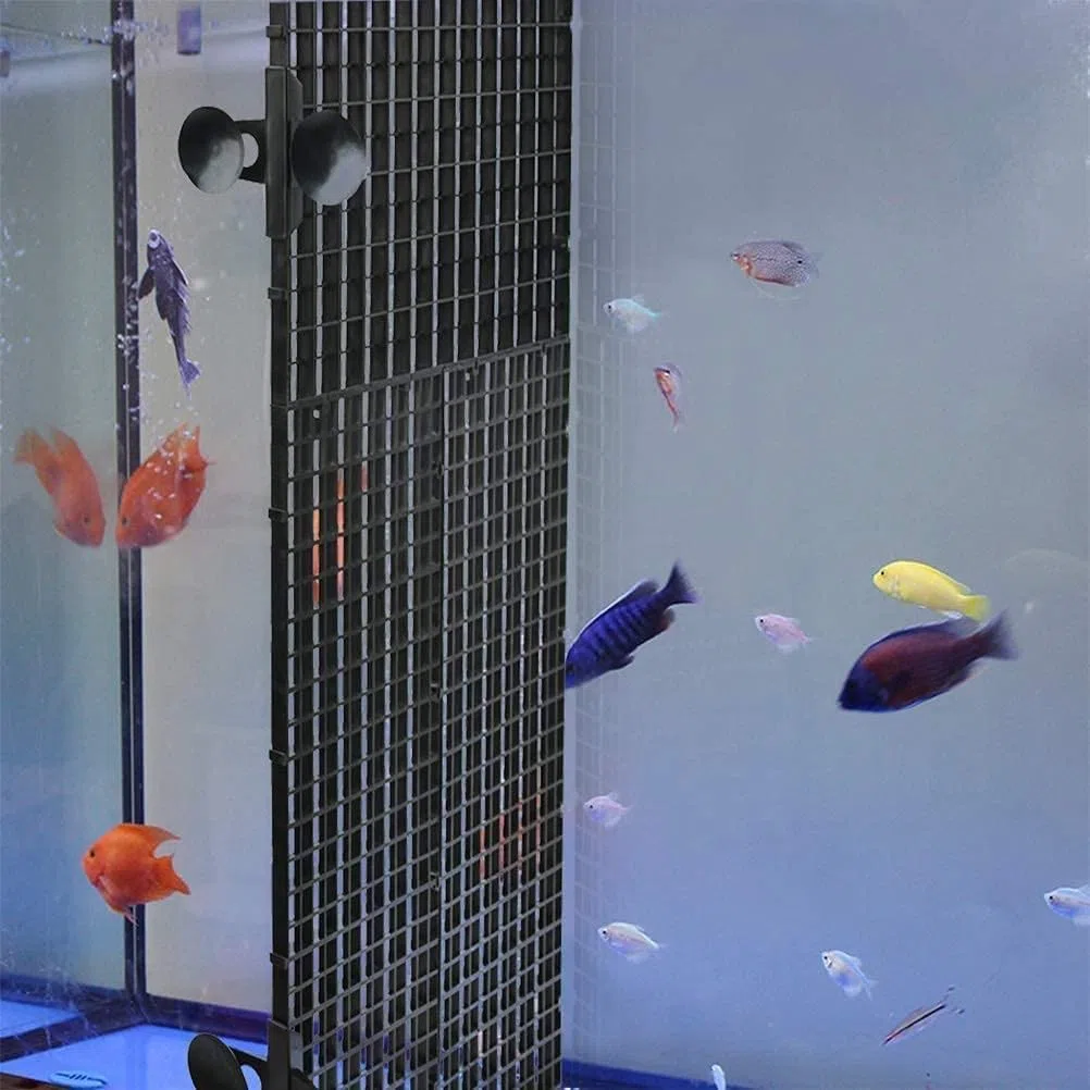 6 Pezzi Acquario Griglia Divisore Separatore Plastica Divisori per Acquario Griglia del Filtro dell'acquario Divisore per acquari in plastica con 12 di Clip Ventosa, 30X15CM