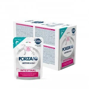 FORZA 10 Active Intestinal, Alimento Umido Completo per Cani Adulti al Pesce, 12 Bustine da 100 g