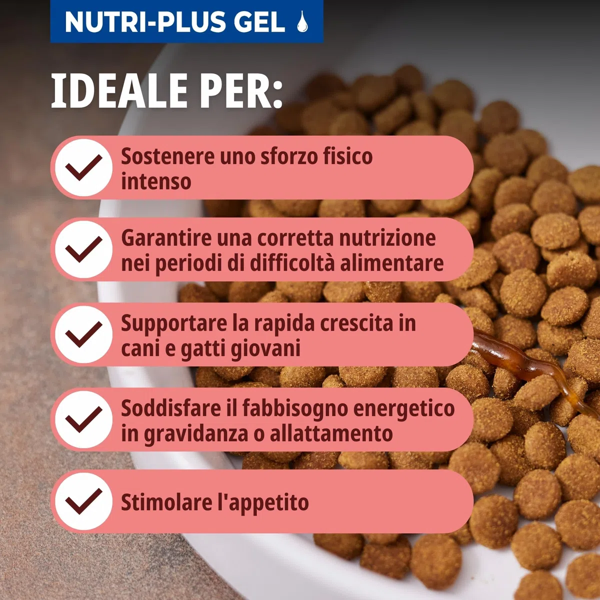 Virbac Nutri-Plus Gel | 120 g | Alimento complementare per cani e gatti per l'integrazione nutrizionale e la convalescenza | Stimolante dell'appetito, vettore energetico altamente concentrato
