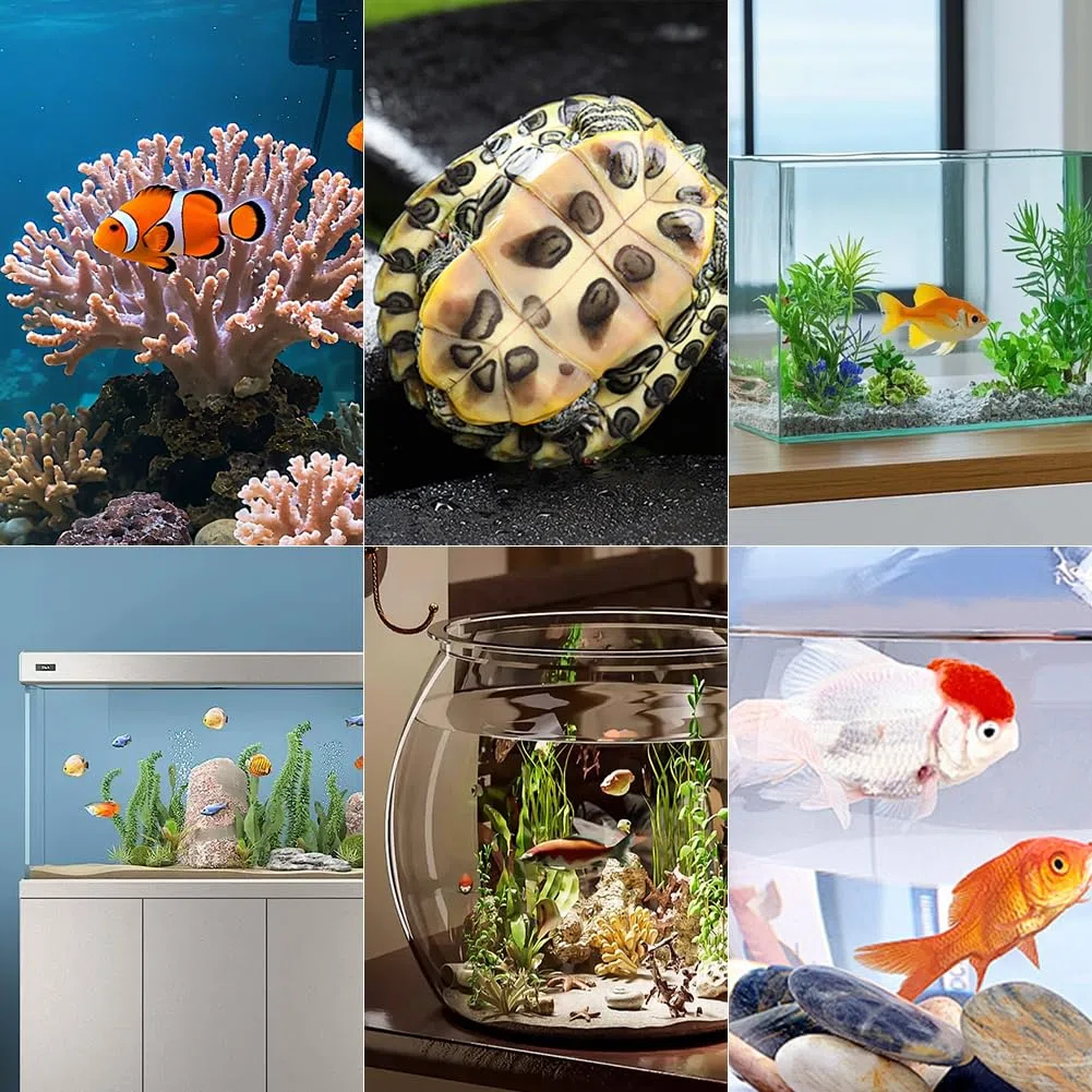 Riscaldatore per acquario, 10 W, temperatura regolabile, potente scaldabagno, scaldabagno digitale con regolatore di temperatura, barra riscaldante per acqua salata e serbatoi d'acqua dolce