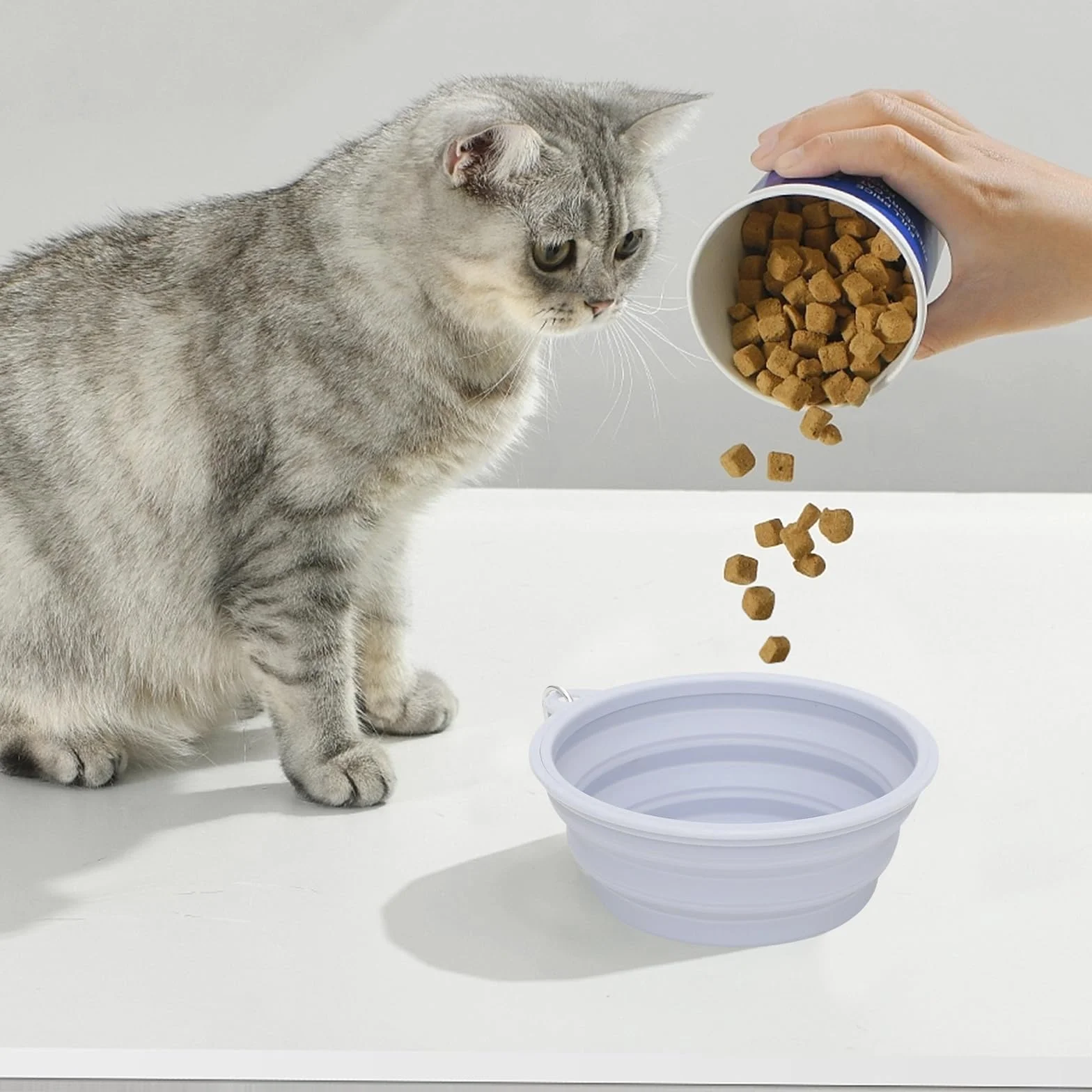 Trasportino per gatti pieghevole: borsa per gatti traspirante con ciotola per acqua portatile, pieghevole, trasportino per cani con tracolla, 42 x 27 x 28 cm