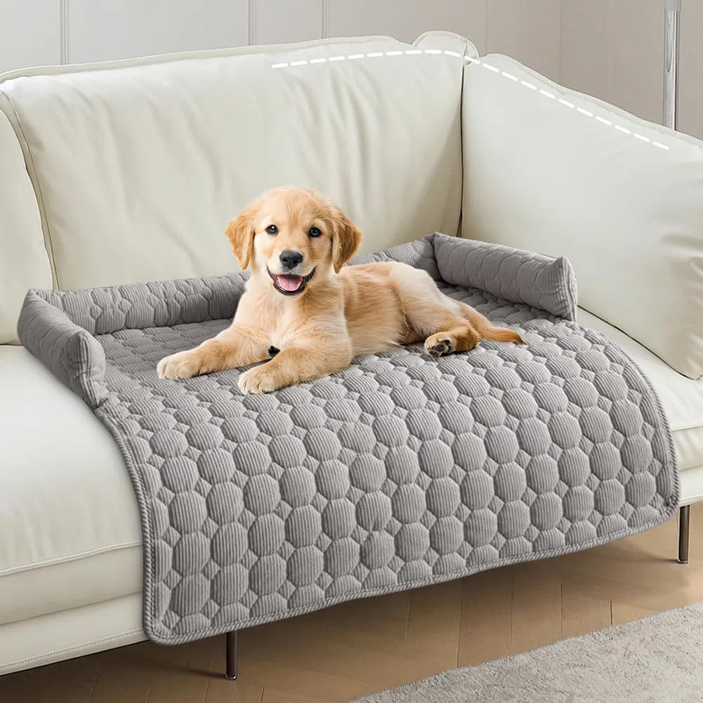 Divano Letto per Cani, 75x75cm Cuscino Morbido Lavabile per Cani, Cuccia per Cani per Divano con Bordo, Protezione Divano, Cuscino Cane Antiscivolo per Cani Piccoli e Medi e Gatti, Grigio Chiaro