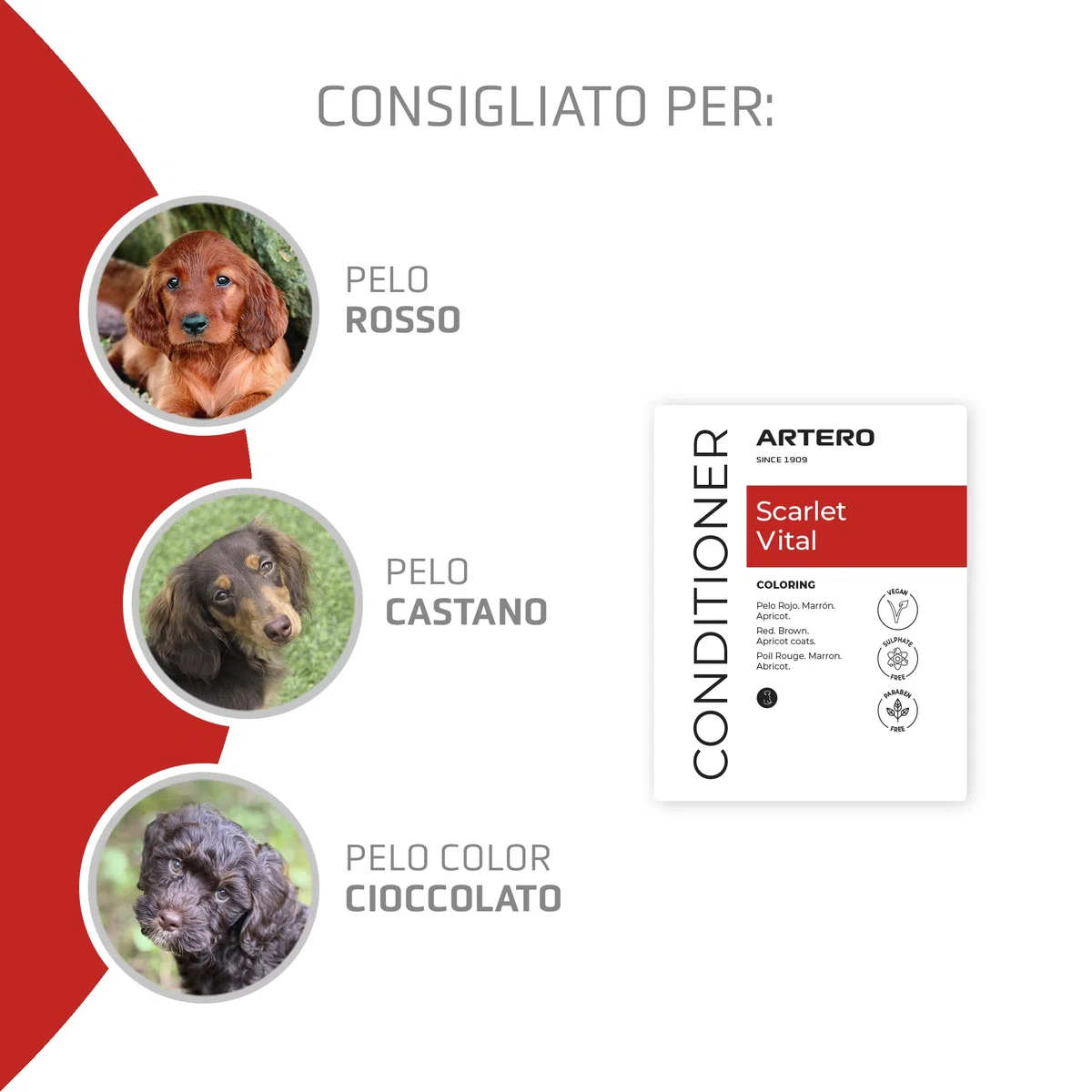 Artero Scarlet Vital Maschera Intensificante Colore per Cani Tonalità Rosse, Marroni, Cioccolatini e Apricot. 100 ml
