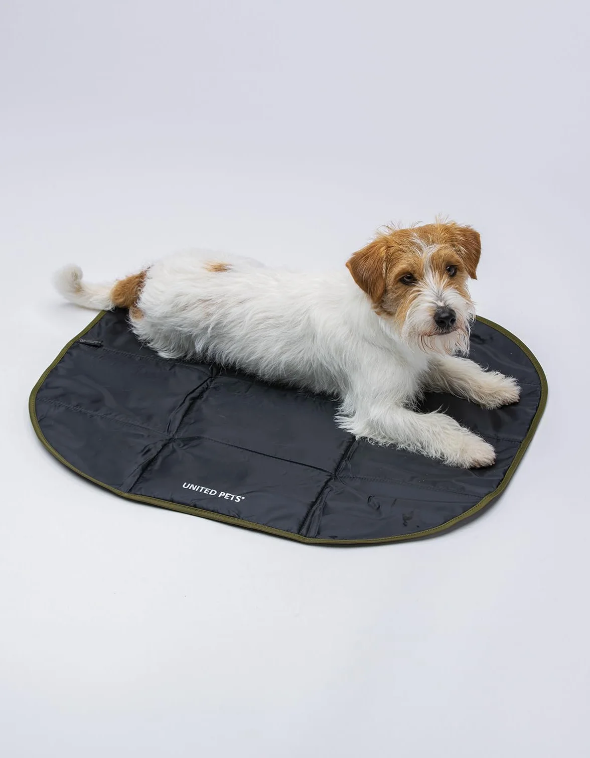 United Pets Lazy Dog Mat - Cuccia Portatile Per Cani Pieghevole, Materassino Da Ristorante E Da Viaggio, Tappetino Cuccia Leggero, Colore Nero Verde