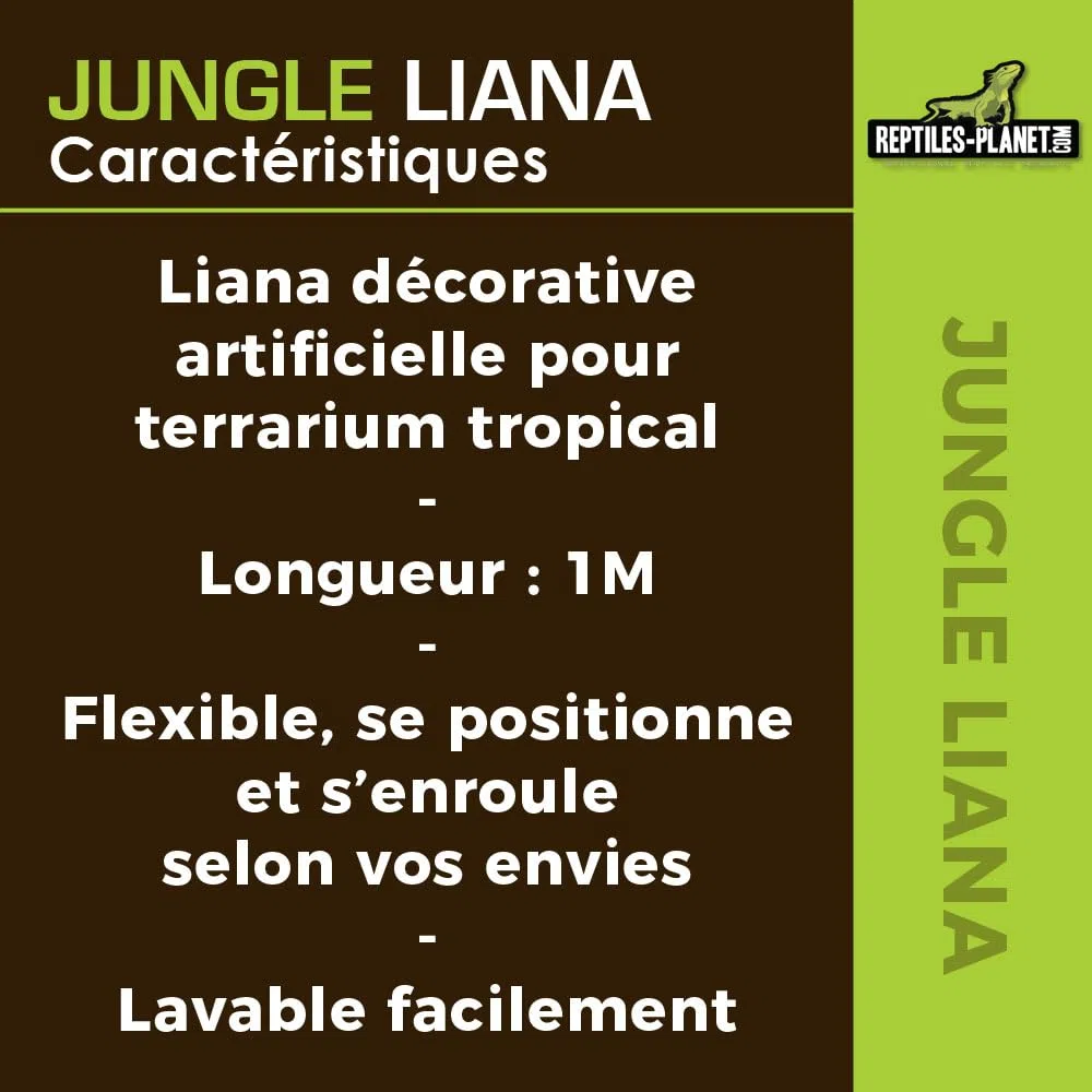 Reptiles Planet - Giungla Liana - Liana Artificiale - Decorazione per Terrario - 1 m