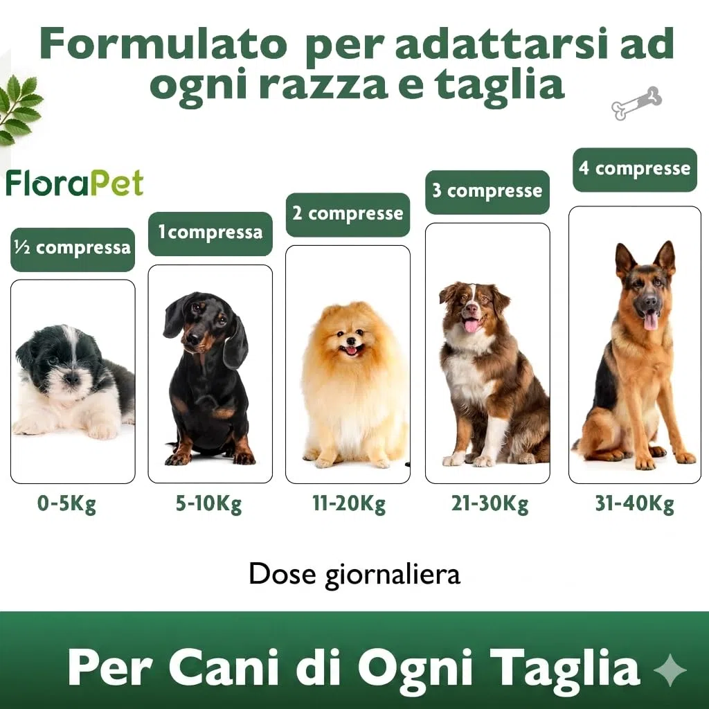 FloraPet Integratore Articolazioni Cane Anziano e Adulto, Formula Vegetale con Artiglio del Diavolo, Boswellia, Curcuma, PEA e Omega 3, Ossa e Mobilità, 60 Compresse Made in Italy