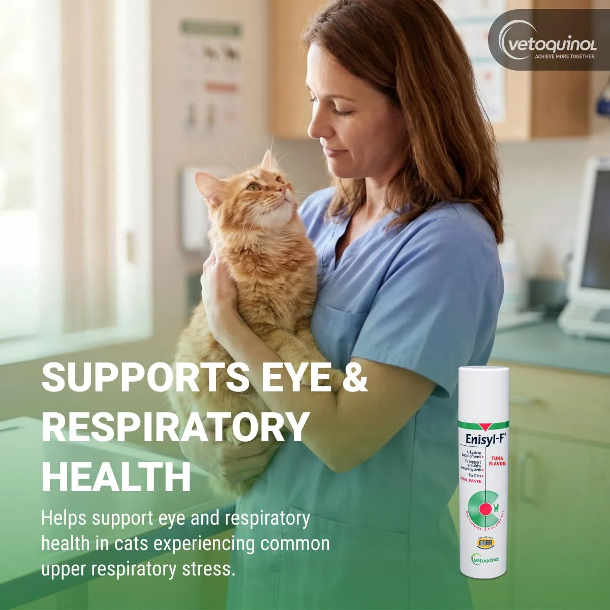 Enisyl Enisyl-F Paste For Cats 100ml by Vetoquinol