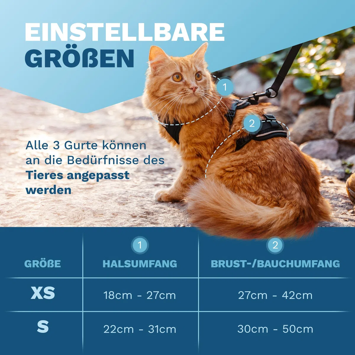 Imbracatura per gatti – Imbracatura extra anti-rottura con guinzaglio – Guinzaglio per gatti – Il nostro set di stoviglie per gatti porta sicurezza nelle vostre passeggiate (XS)