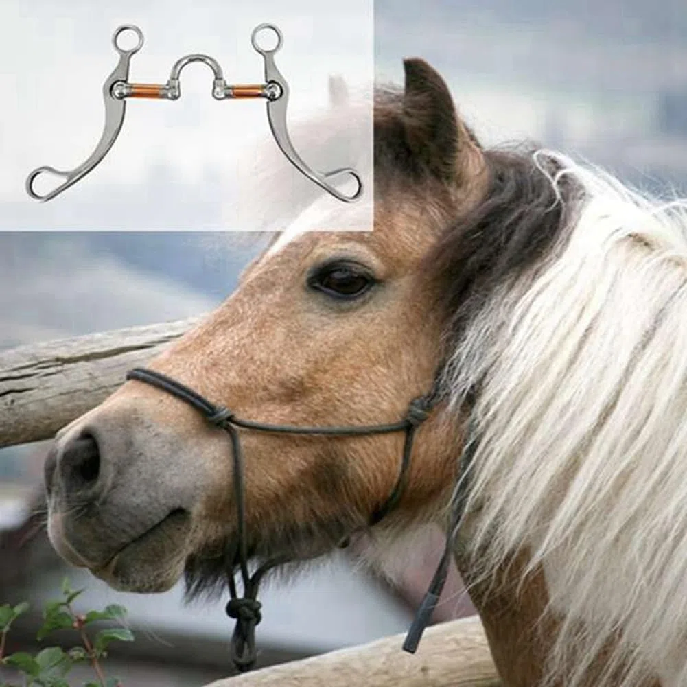 Anneth Snaffle Bit Horse Bits in Acciaio Inossidabile Western Snaffle Bits per Bocca da Addestramento con Porta in Rame